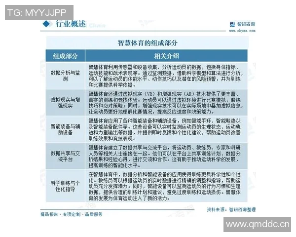 以U球为核心探讨人工智能在体育训练中的应用与未来发展