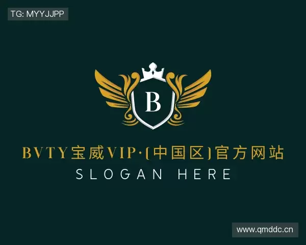 解读bvty宝威